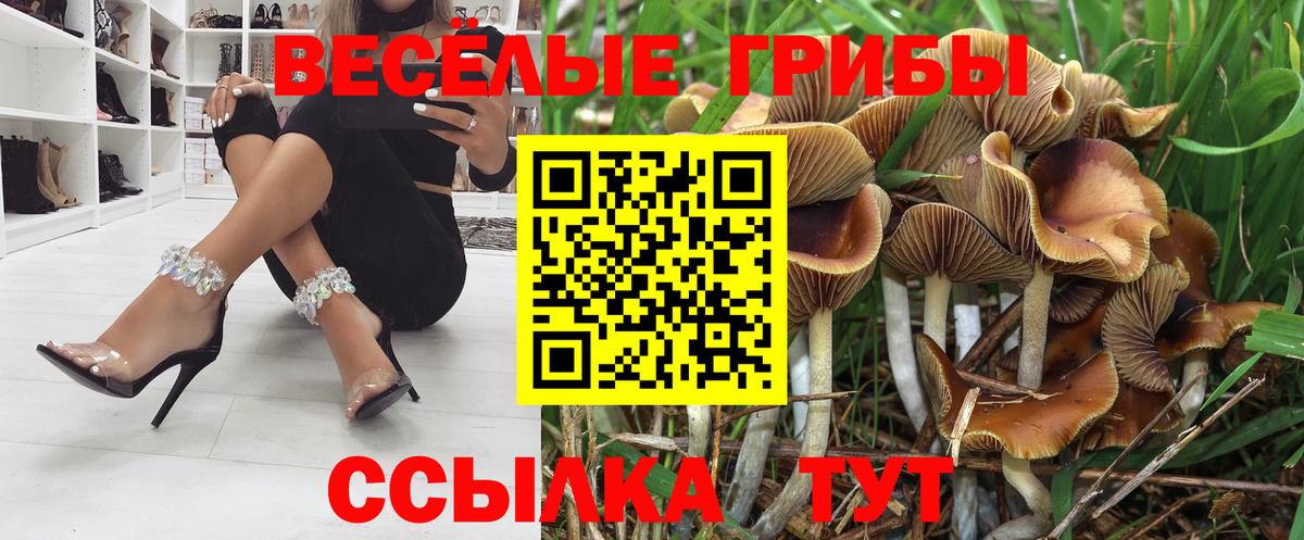 Галлюциногенные грибы MAGIC MUSHROOMS Бузулук
